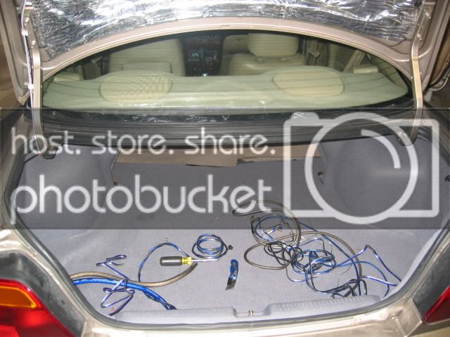 Trunkbacktogether.jpg