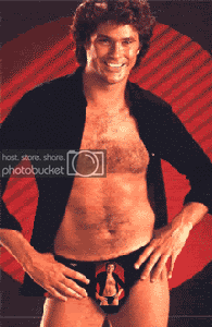 davidhasslehoff-loves-teh-c.gif