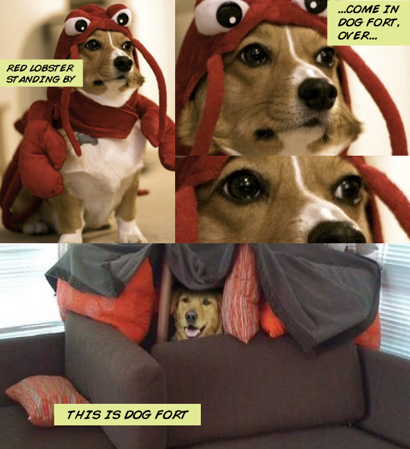 dogfort.png