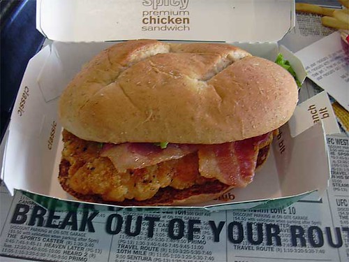 120100041_fa304f7f14.jpg