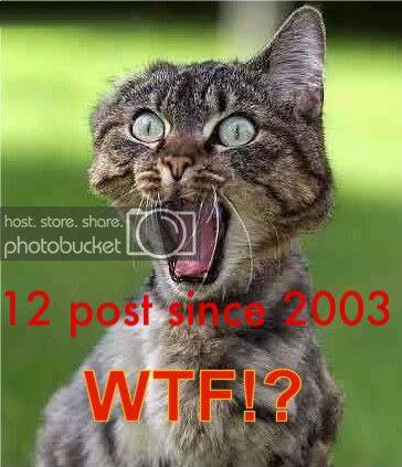 funnywtf3453453-1.jpg