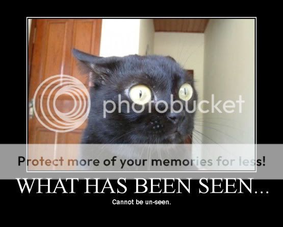 whathasbeenseen.jpg