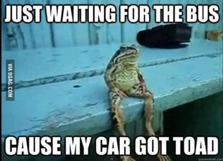 4401913_460s.jpg