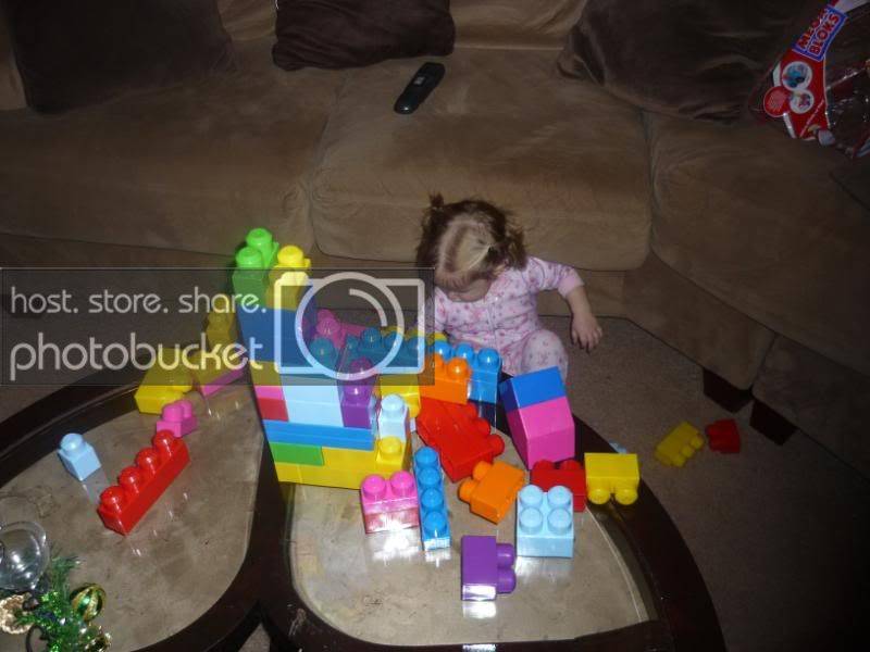 P1020579.jpg