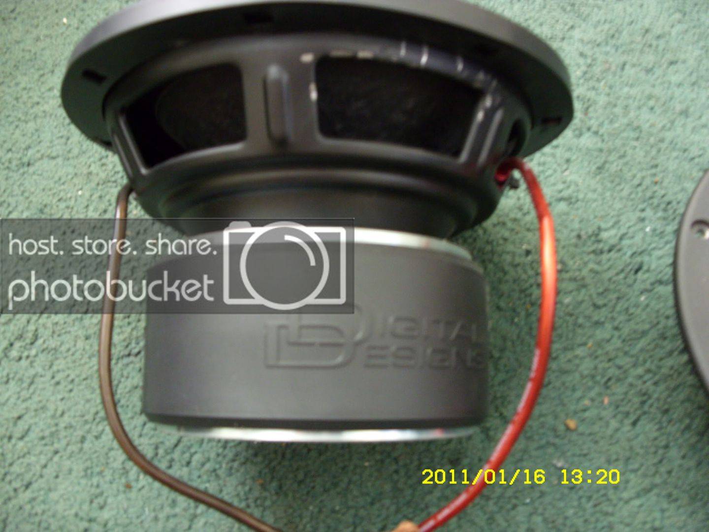 SDC10272.jpg