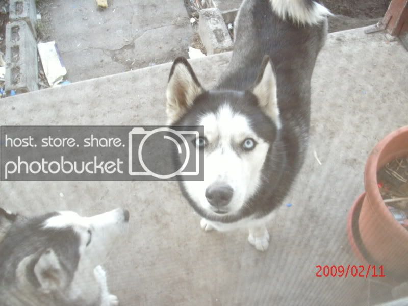 012-2.jpg