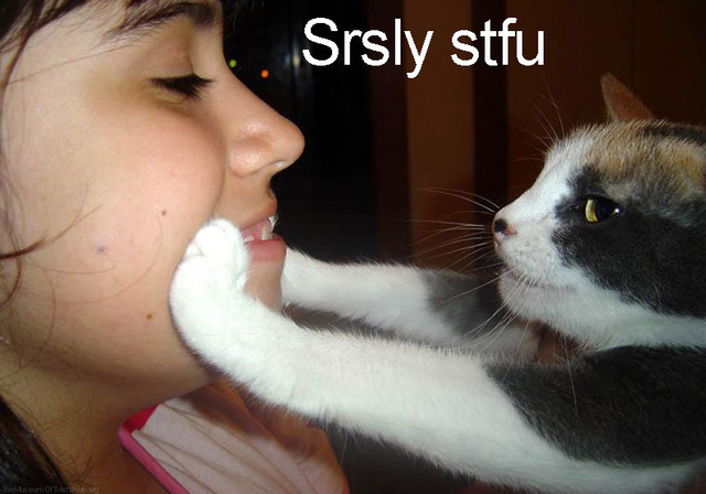stfu2.jpeg