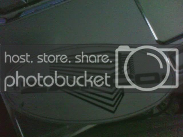img0231.jpg