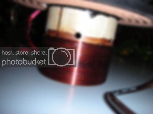 DSCN0845.jpg