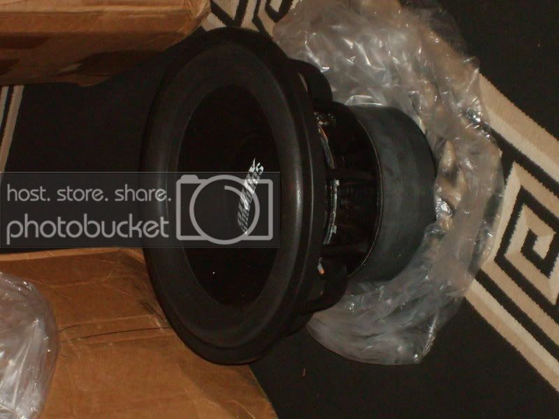 SD531163.jpg