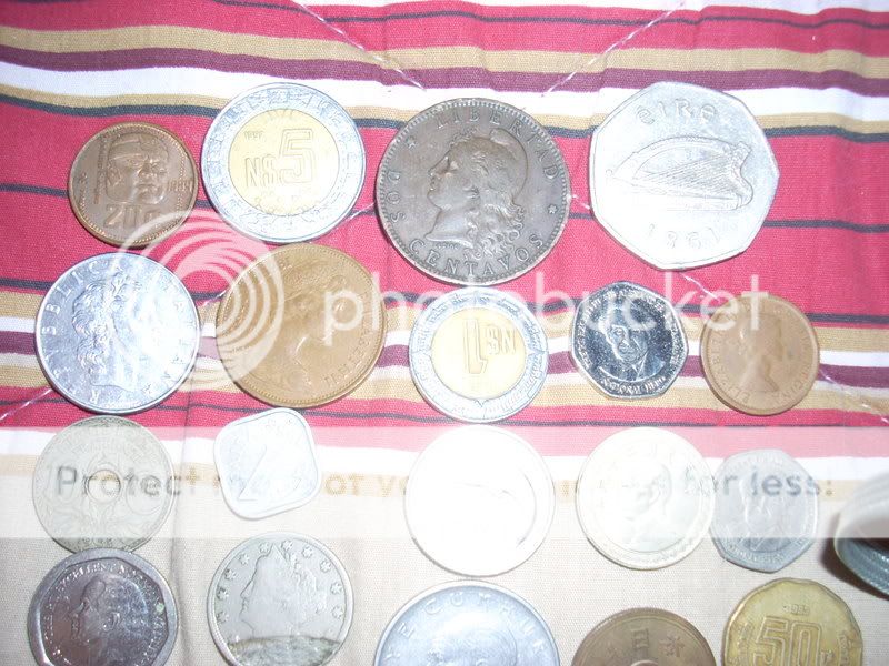 DSCN1357.jpg