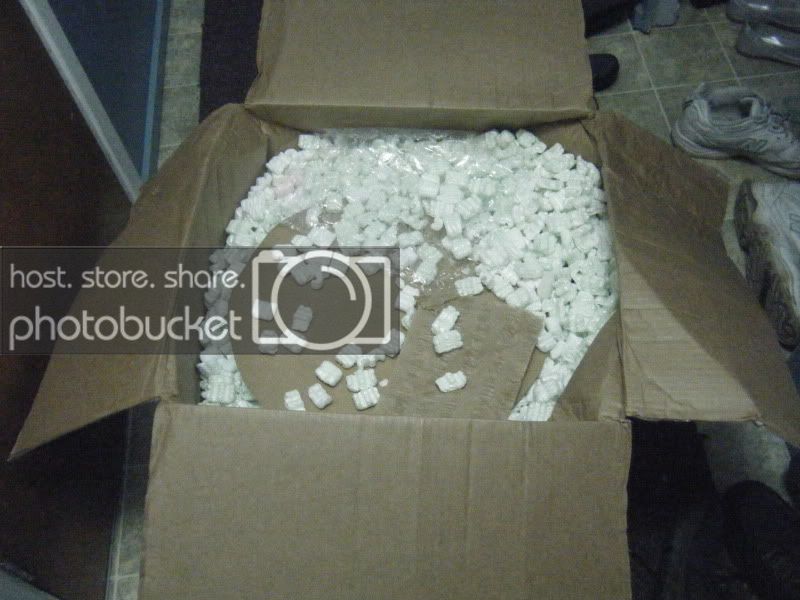 Picture004.jpg