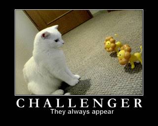 232challenger.jpg