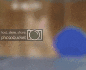 orlycats8bxpk6.gif