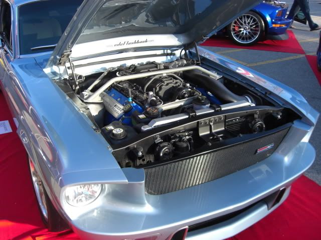 CIMG1344.jpg