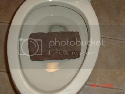 shatbricks.jpg