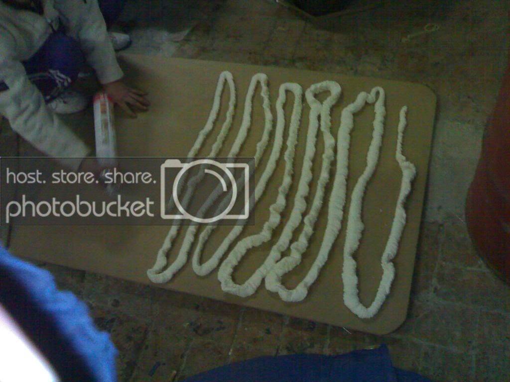 300120101368.jpg
