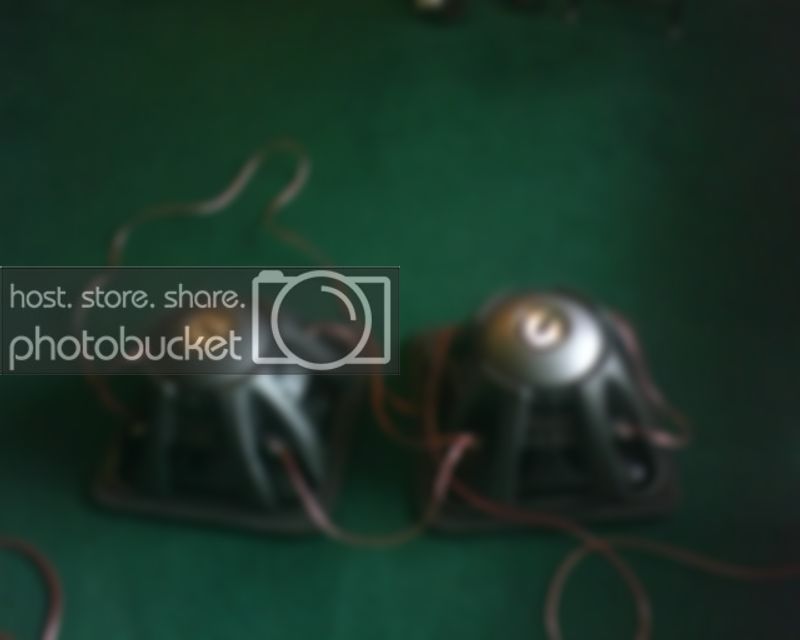 IMG00136.jpg
