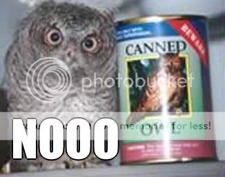 noooowl.jpg