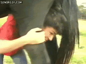 ohcrapp1-1.gif
