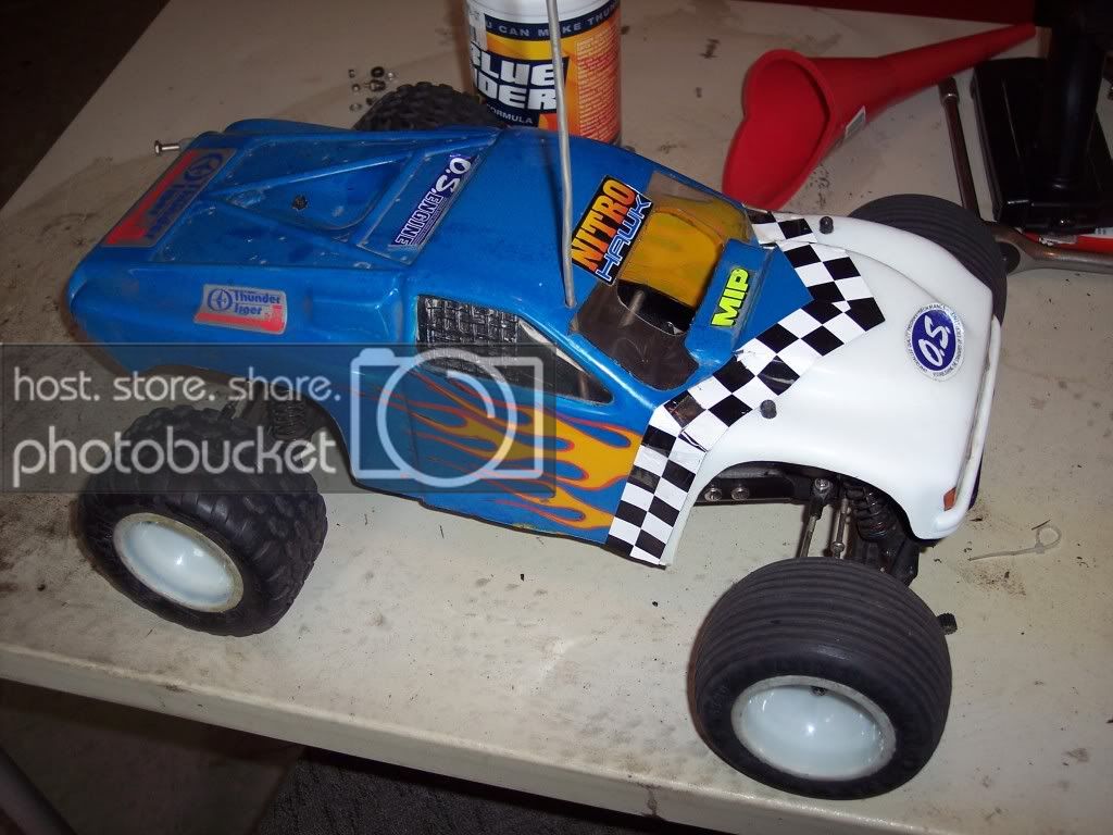 nhawk004.jpg
