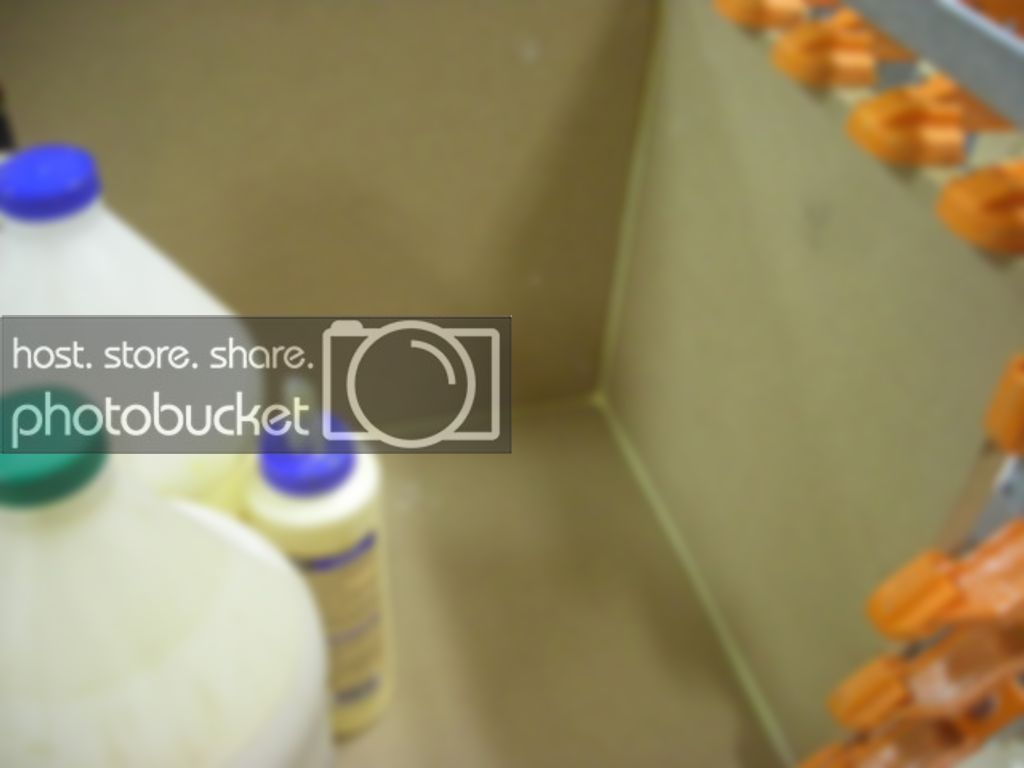 DSCN2256.jpg