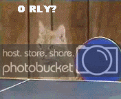 orlycats8bxpk6.gif