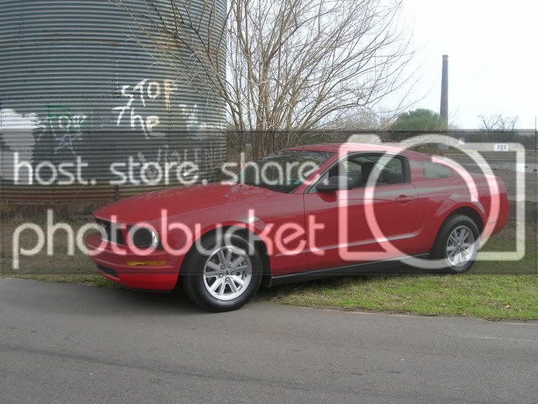 DSCN0918.jpg