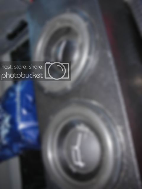 DSCN0818.jpg
