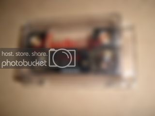 SL730685.jpg
