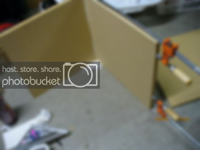 P1010319.jpg