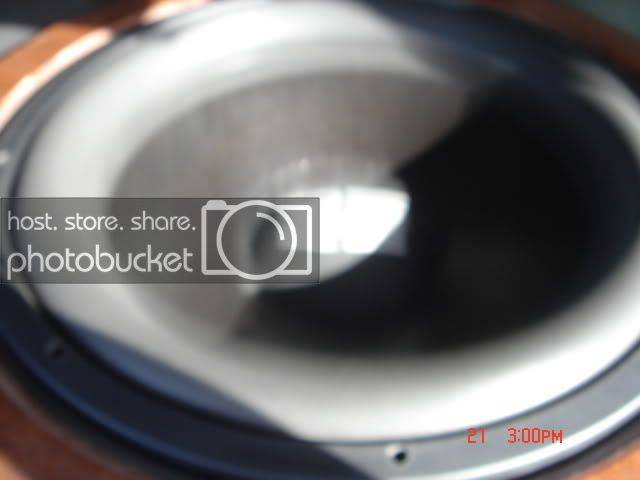 DSC00338.jpg