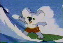 koala.gif