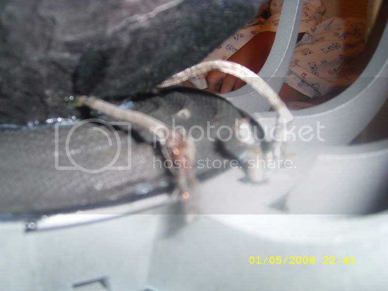SL270479.jpg