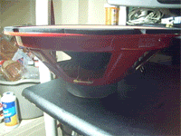 tehfunkypup.gif