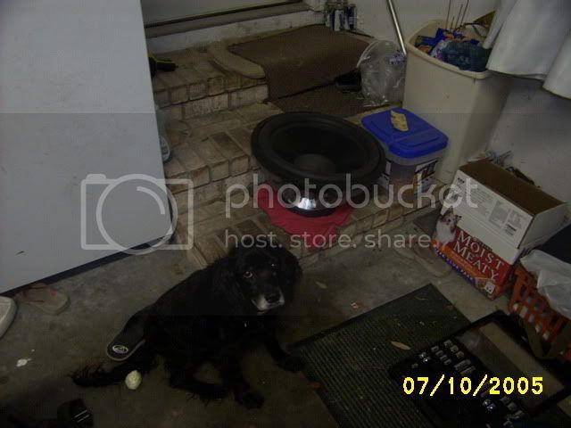 Picture465.jpg