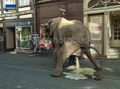 pissing_elephant.jpg