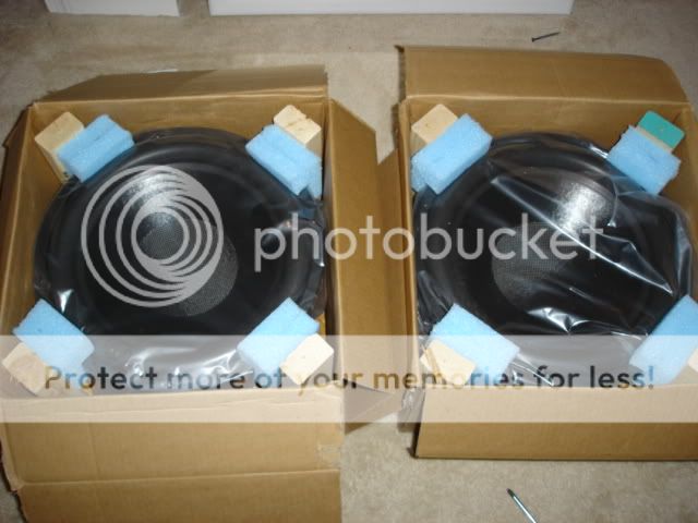 DSC00304.jpg
