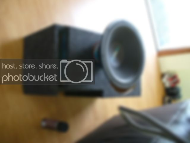 P1010413.jpg
