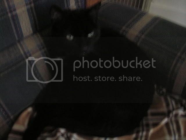 IMGP1817.jpg