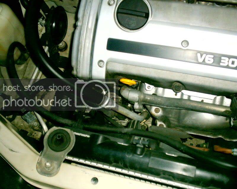 maxima001-1.jpg