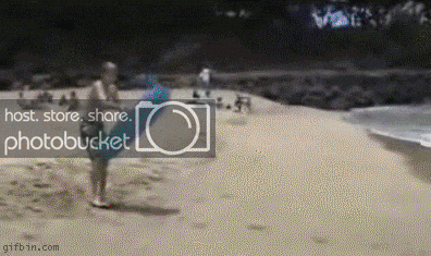 1238409390_bodyboard.gif