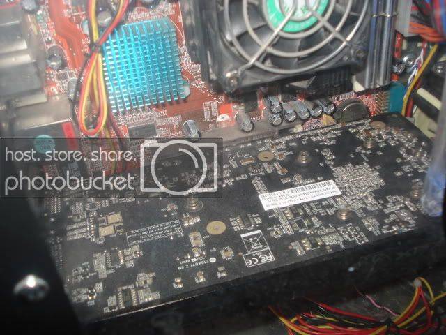 DSC00711.jpg