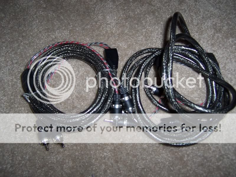 100_4031.jpg