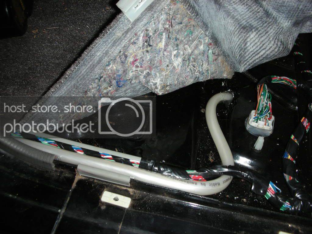DSCN1559.jpg