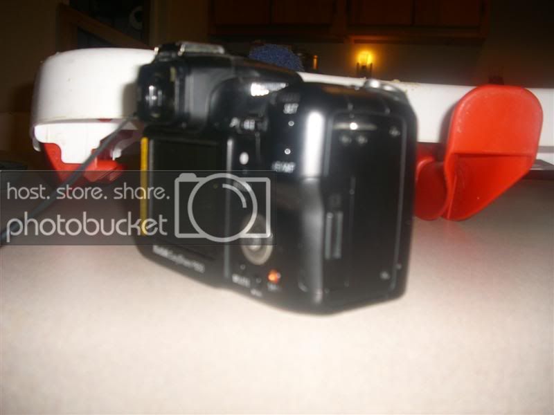 DSCI0229Medium.jpg