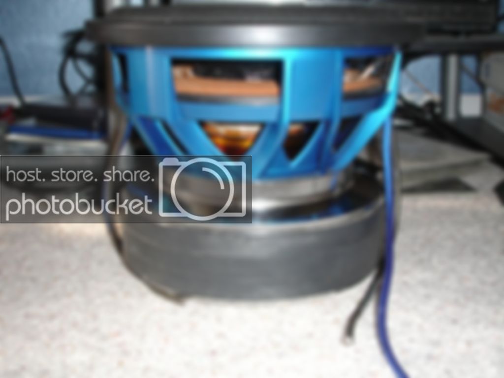 DSC06535.jpg