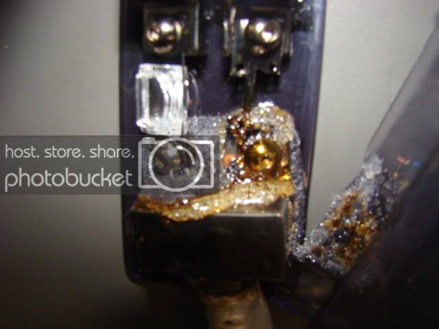 DSC03230.jpg