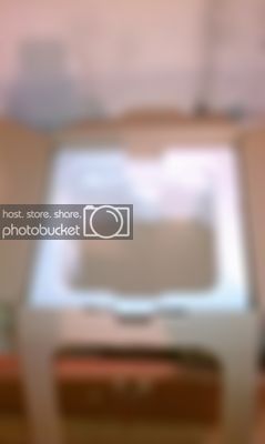 IMAG0294.jpg