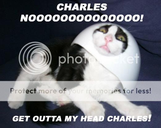juggernautcat.jpg